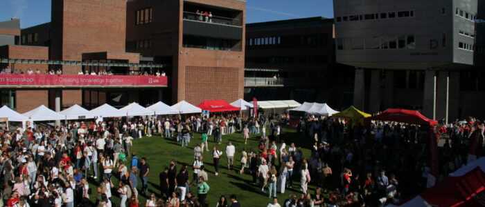 Plenen sett mot D bygget